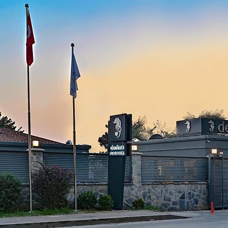 Denizati Plus Hotel 伊斯坦布尔 外观 照片